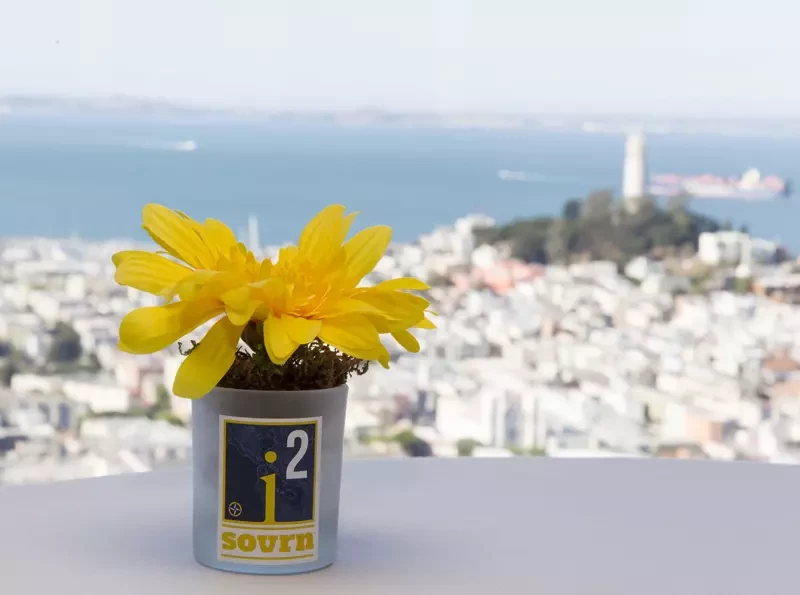 Corporate Event Branding Services in San Francisco